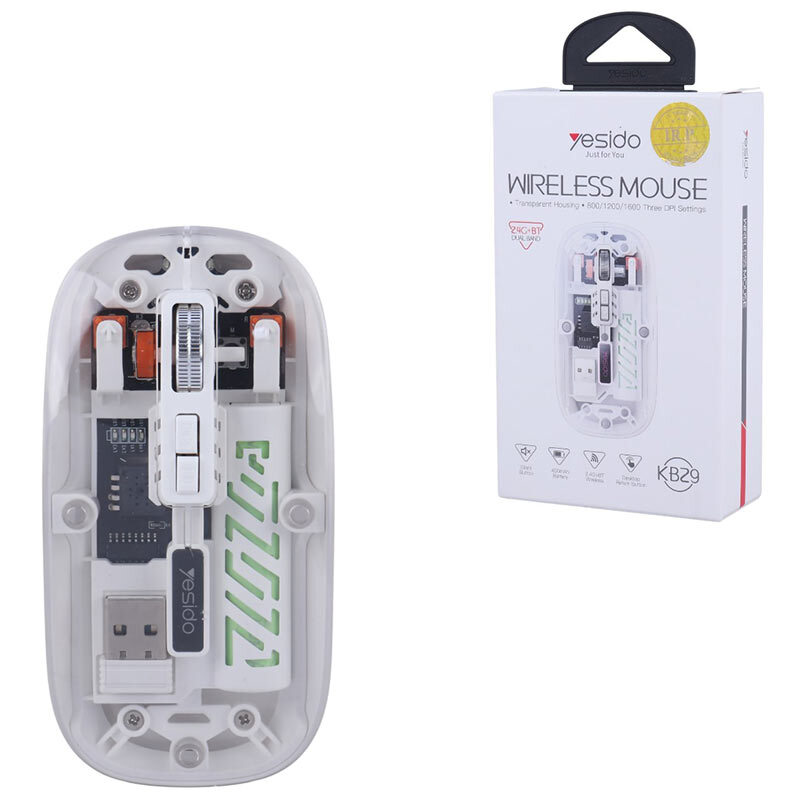 1761319072 7tlk45jmv