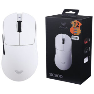 1770110447 ukygz0t9q